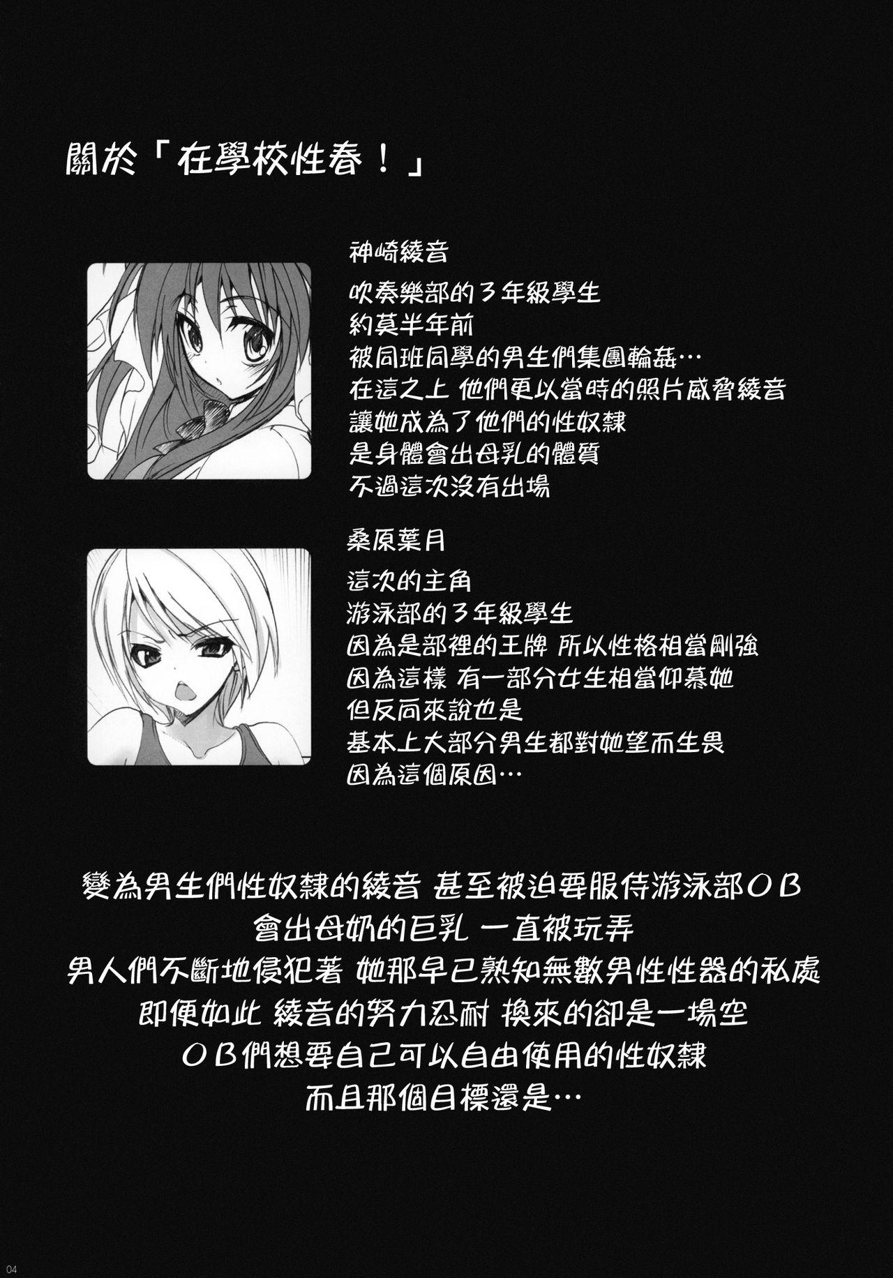 学校で性春! 5 ～同級生も一緒～(C79) [乙女気分 (三色網戸。)]  [中国翻訳](34页)