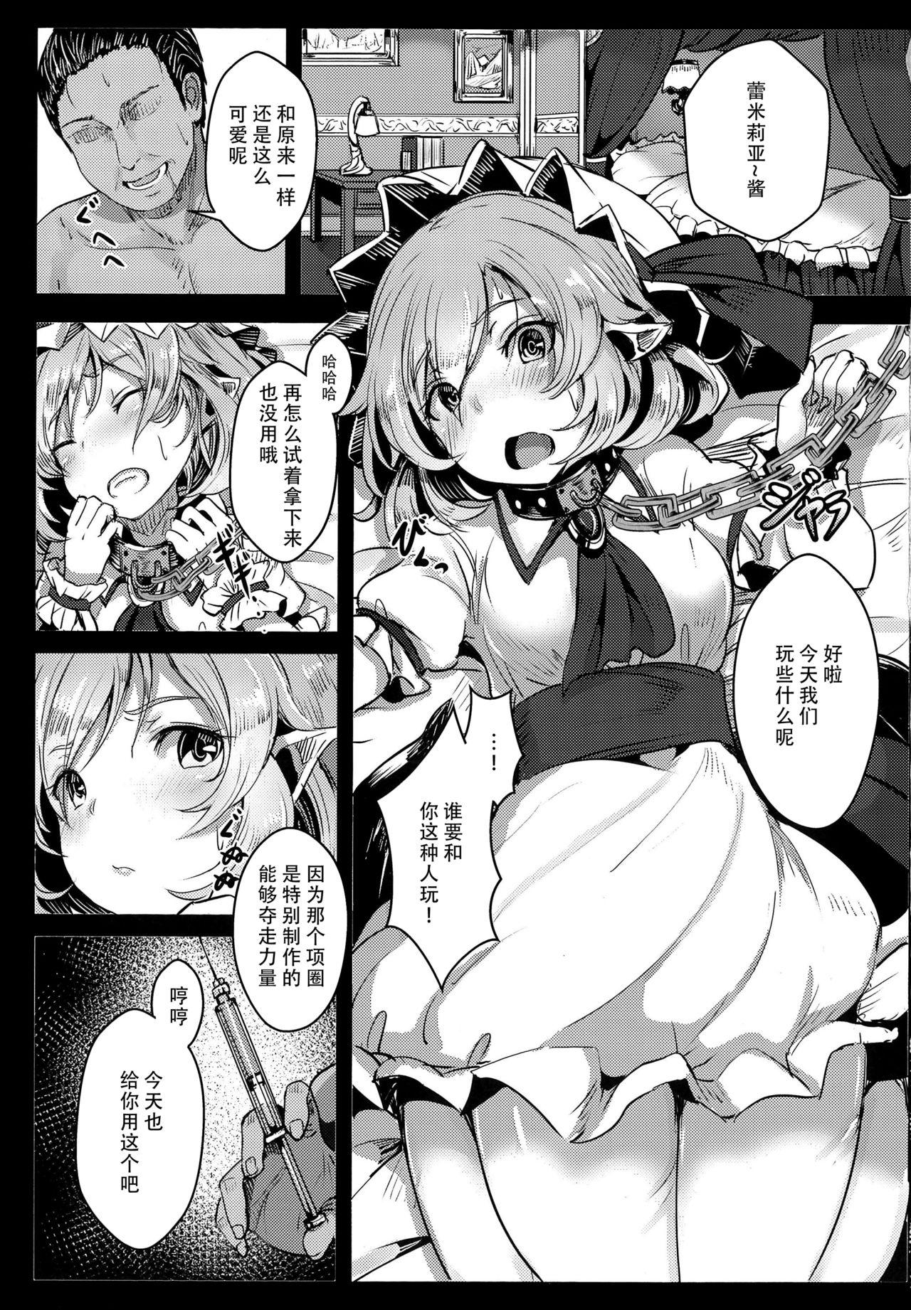 おくすりれみりあ!(例大祭15) [はくせん (おぱんちゅ)]  (東方Project) [中国翻訳](19页)