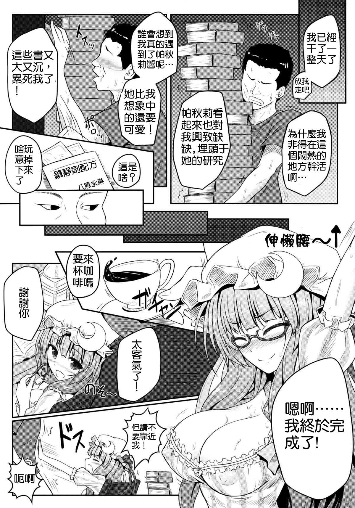 蒸ちゅり～!(C83) [e☆ALI-aL! (ありえす渡辺)]  (東方Project) [中国翻訳](21页)