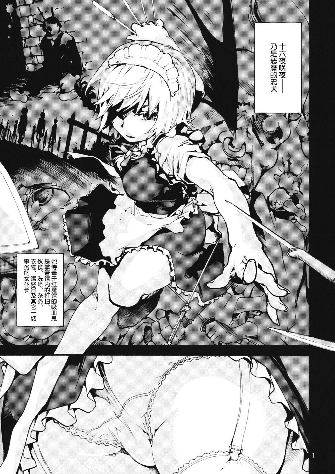 Undressing, Discharging(C87) [音速うばぐるま (宇場義行)]  (東方Project) [中国翻訳](34页)