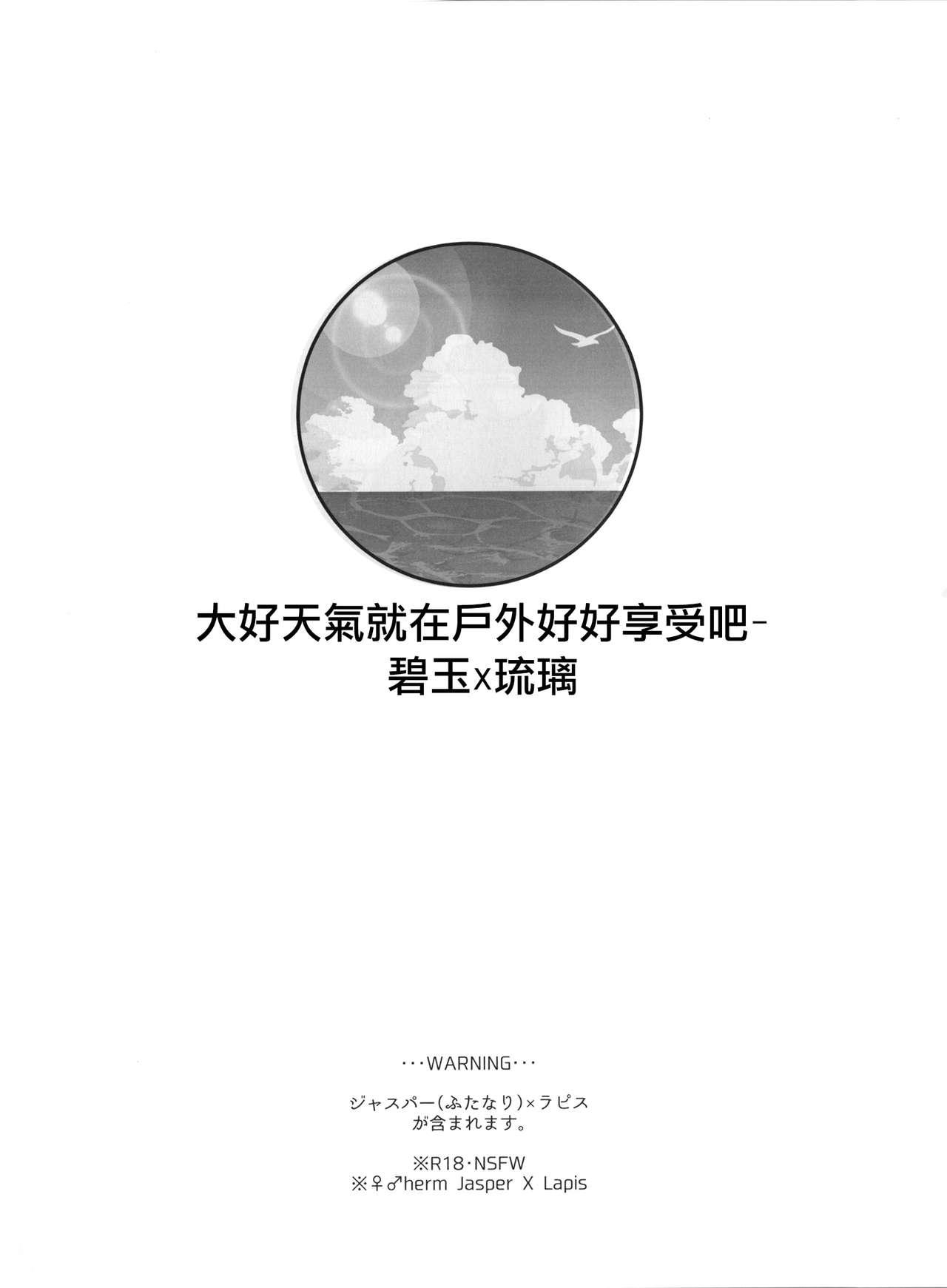 VIRGIN SUMMER(TOON MIX 2) [G-PLANET (グラム)]  (スティーブン・ユニバース) [中国翻訳](39页)