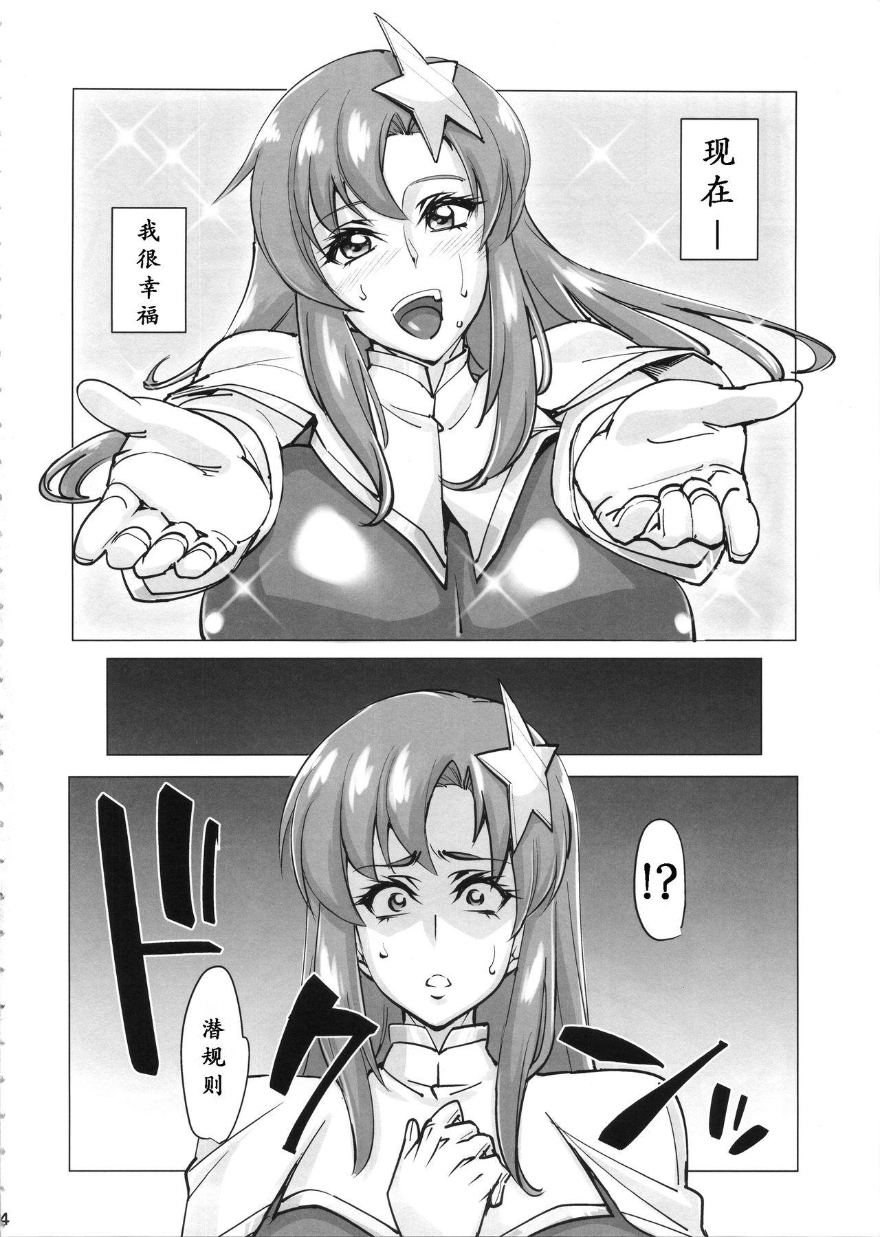 (COMIC1☆11) [ピーナッツランド (オタクミン)] ラクス･クライン(偽)改造計画 (機動戦士ガンダムSEED DESTINY) [中国翻訳]  (35页)