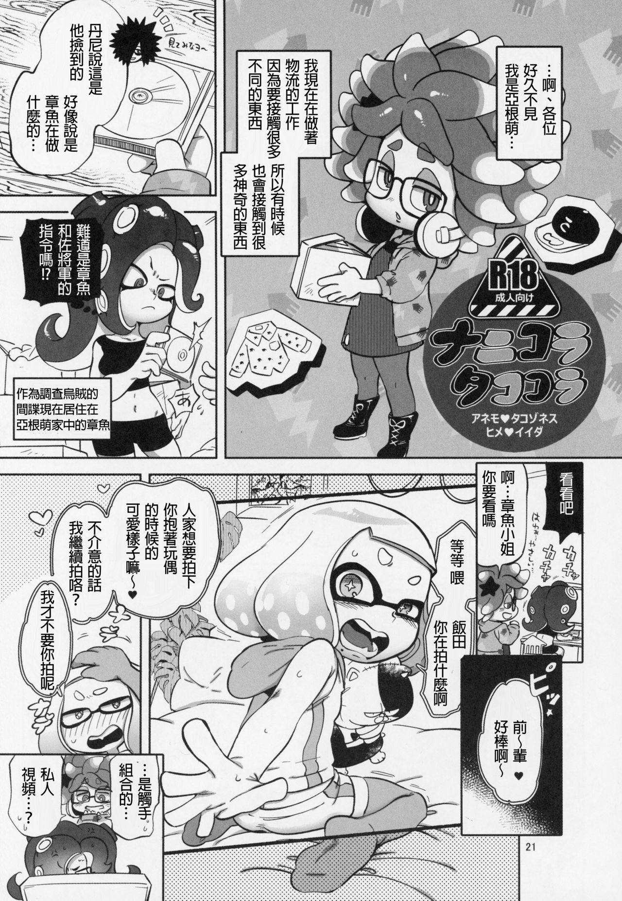 異文化交流(C95) [南北屋 (南北)]  (スプラトゥーン) [中国翻訳](27页)