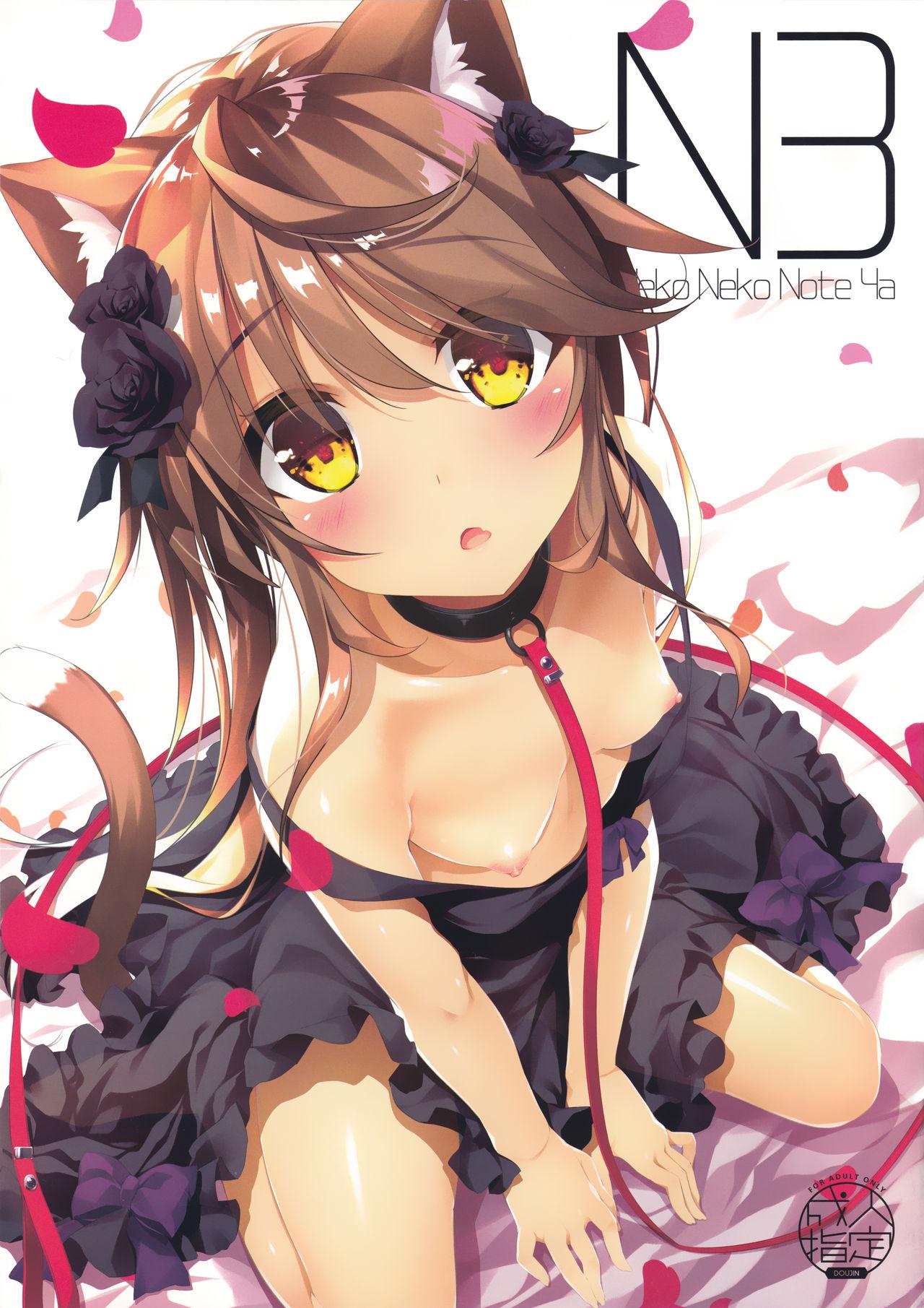 Neko Neko Note 4a(C95) [猫御所 (ヤナギユウ)]  [中国翻訳](24页)