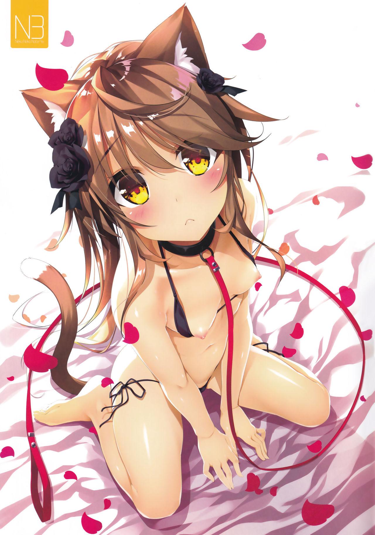 Neko Neko Note 4a(C95) [猫御所 (ヤナギユウ)]  [中国翻訳](24页)