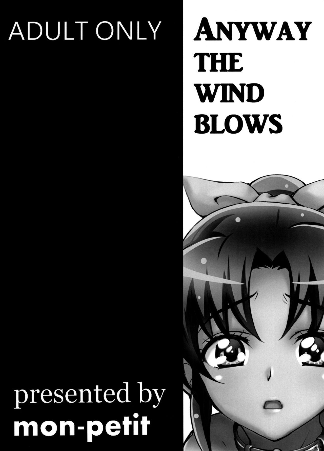 ANYWAY THE WIND BLOWS(C83) [mon-petit (もんぷち)]  (スマイルプリキュア!) [中国翻訳](27页)