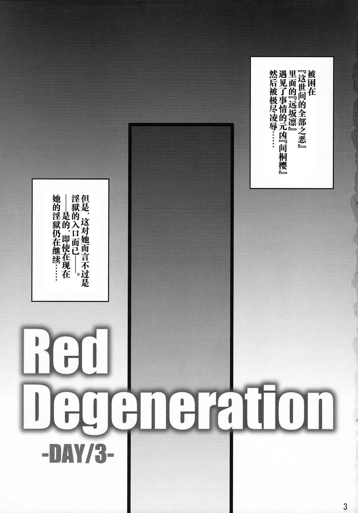 Red Degeneration(COMIC1☆2) [H・B (B-RIVER)]  -DAY/3- (Fate/stay night) [中国翻訳](26页)