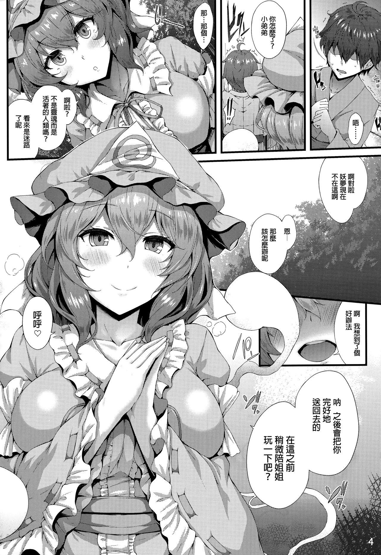 さそい♥ざくら(例大祭16) [YuKi-IRo (ゆきうさぎ。)]  (東方Project)[中国翻訳](19页)