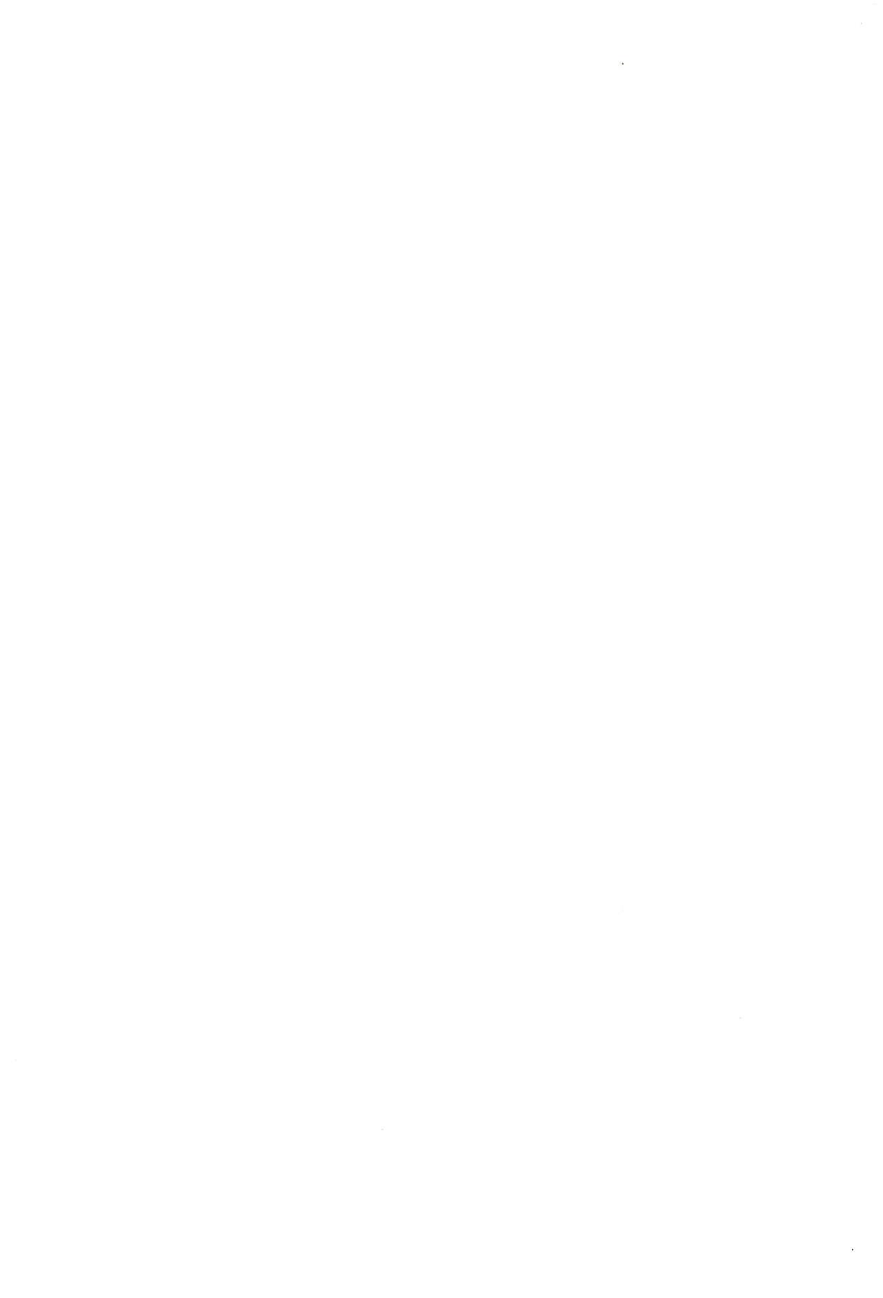 純情愛玩カノジョ[オザケン][中国翻訳][Ozaken]Jyunjo Aigan Kanojo 純情愛玩生化女友[Chinese](227页)-第1章-图片334