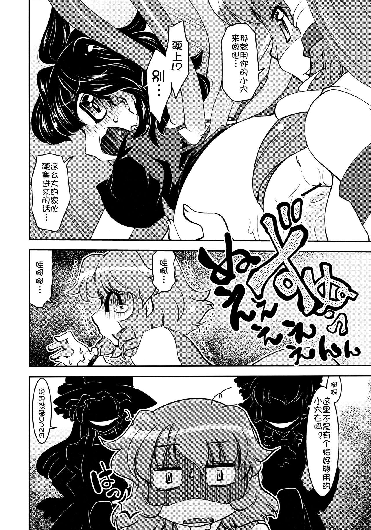 ぬえと傘 Nue＆Umbrella(例大祭10) [STUDIOはまち組 (みずきひとし)]  (東方Project) [中国翻訳](27页)