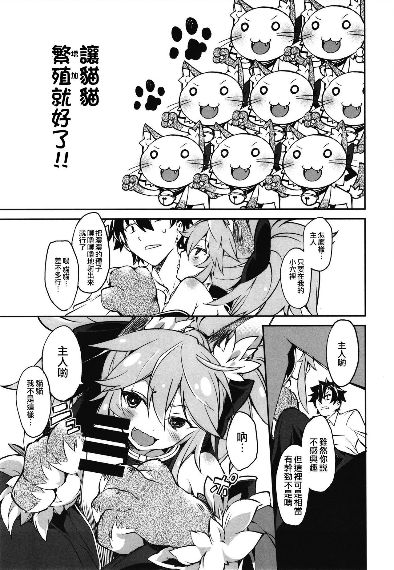 きゃっとちゃん子作大作戦(COMIC1☆15) [トマト缶詰(トマトマト)]  (Fate/Grand Order) [中国翻訳](26页)