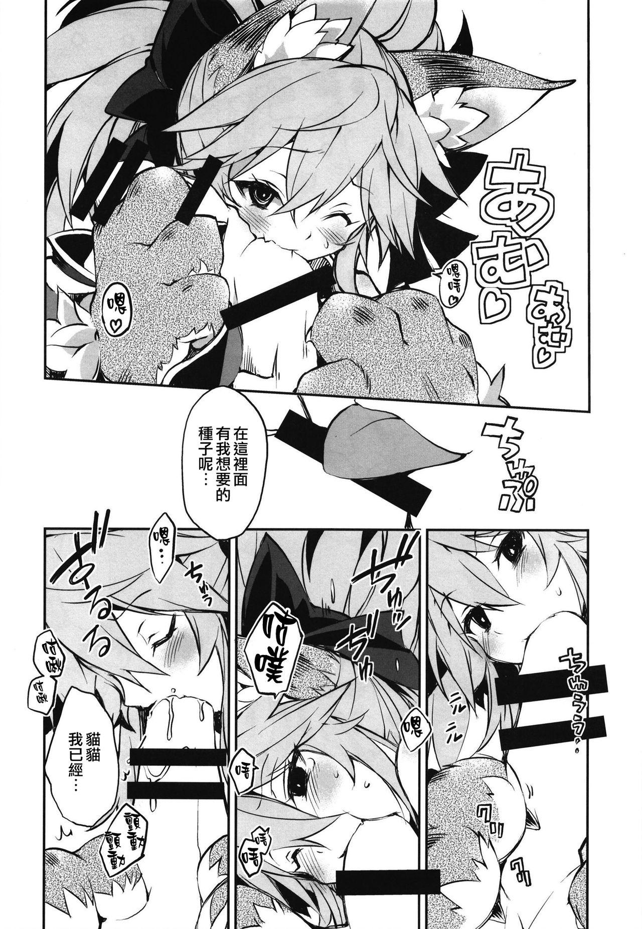 きゃっとちゃん子作大作戦(COMIC1☆15) [トマト缶詰(トマトマト)]  (Fate/Grand Order) [中国翻訳](26页)