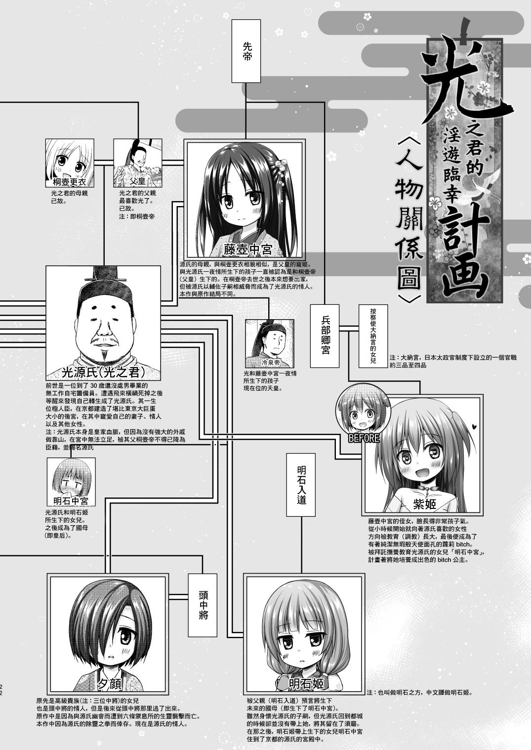 光の君のさがなき計画〈光〉[ノラネコノタマ (雪野みなと)]  [中国翻訳] [DL版](28页)