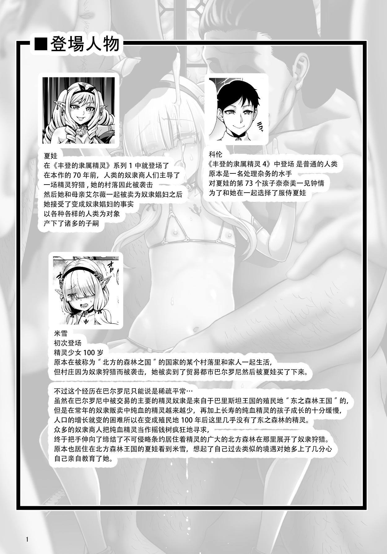 豊穣の隷属エルフ6～被虐幼精～[青豆腐 (ねろましん)]  [中国翻訳] [DL版](26页)