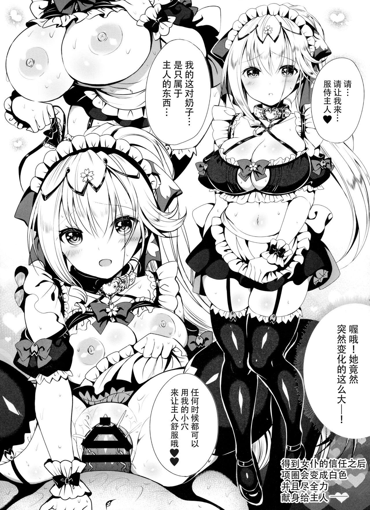 姫騎士をメイドにします！たいけん版！(C96) [白塩 (霧生実奈)]  [中国翻訳](19页)