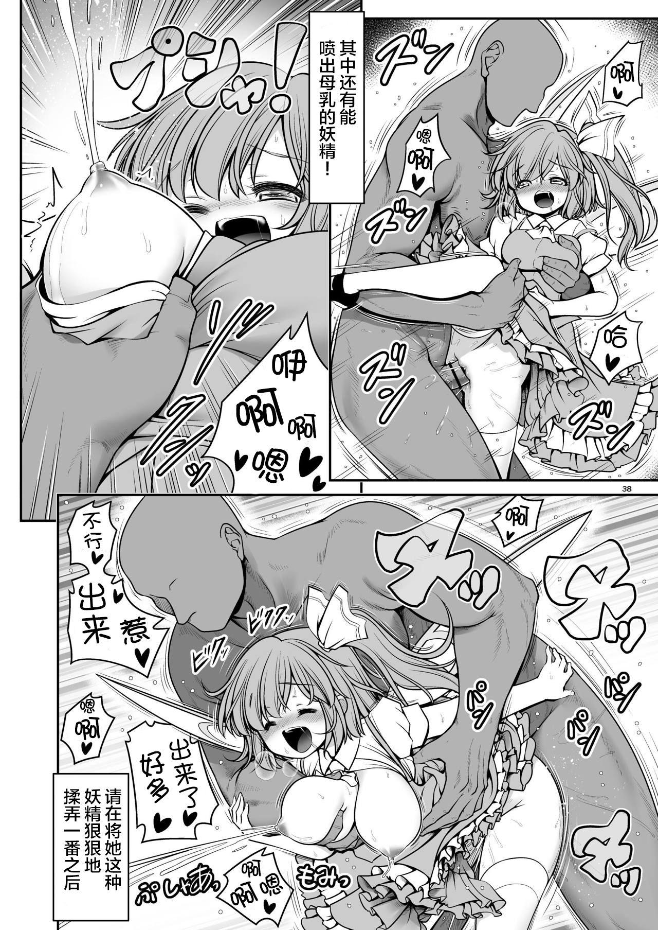 濡れる霧の湖[世捨人な漫画描き (ともきとものり)]  (東方Project) [中国翻訳] [DL版](54页)