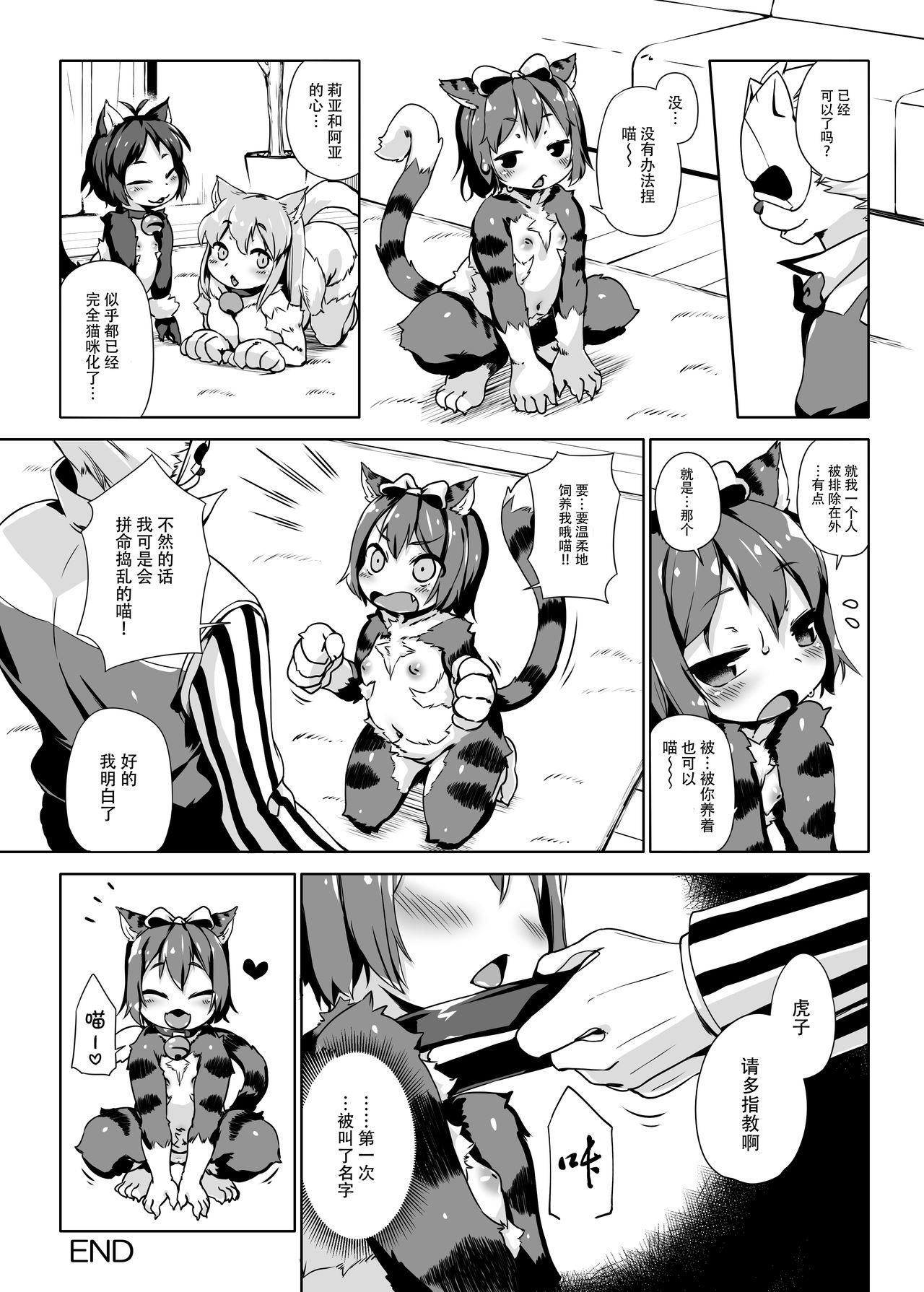 ねこ堕ちシャインフェアリーズ[ななめ班 (半しゃる)]  [中国翻訳] [DL版](49页)