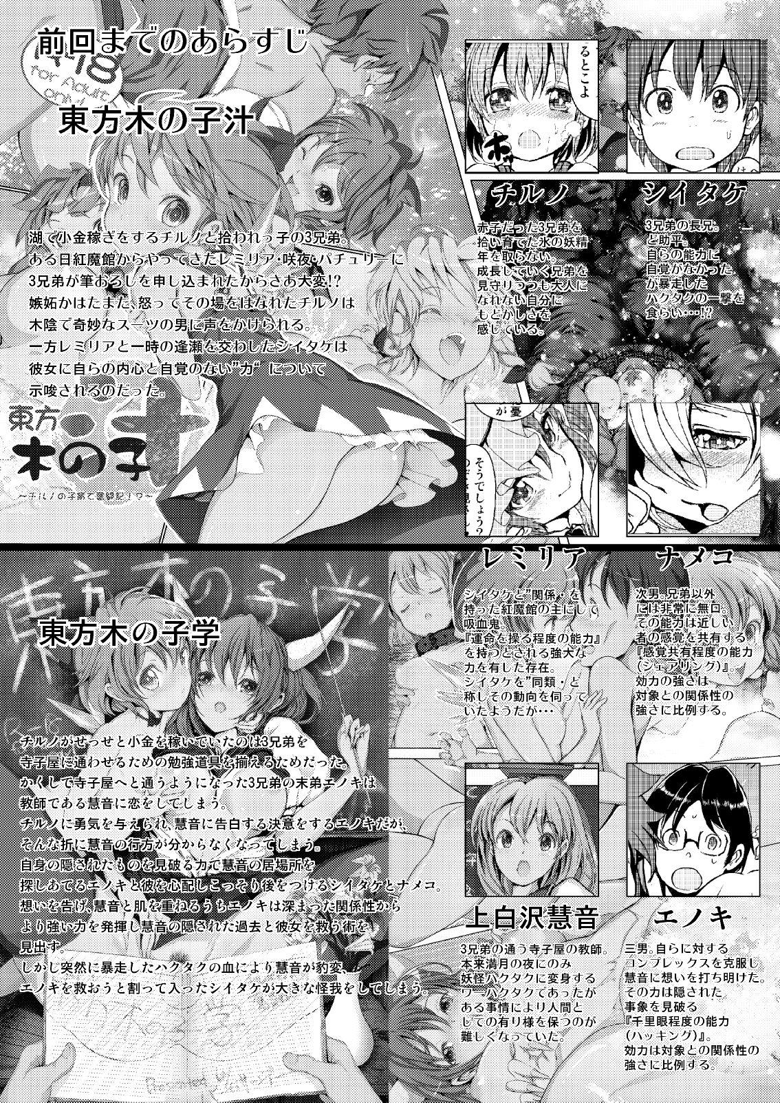 東方木の子薬～チルノの子育て奮闘記3!？～[パームサンデー (レリ)]  (東方Project) [中国翻訳] [DL版](41页)