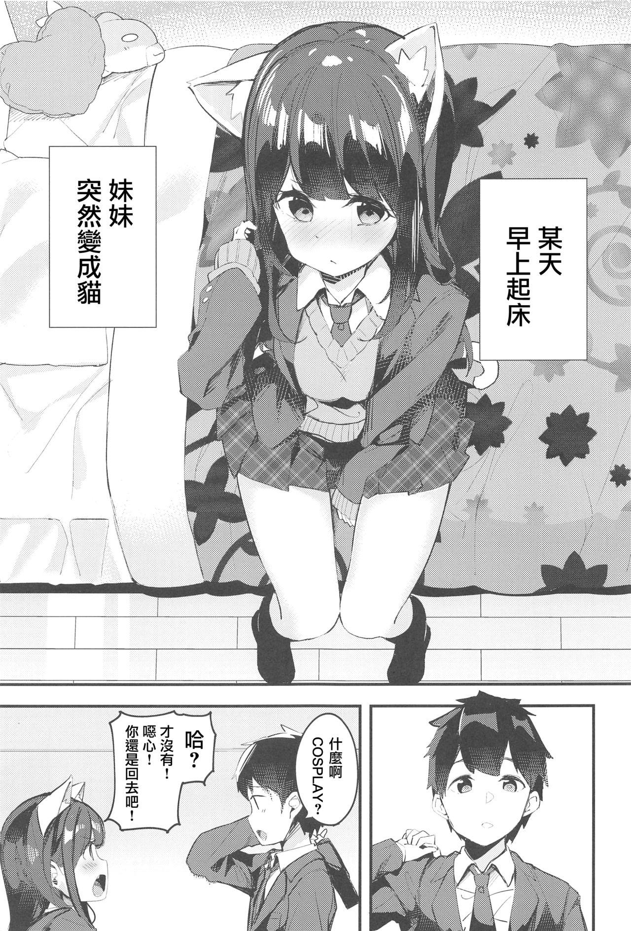 妹が猫になっていました。(C95) [ちくわのわっか (ちくわ。)]  [中国翻訳](29页)