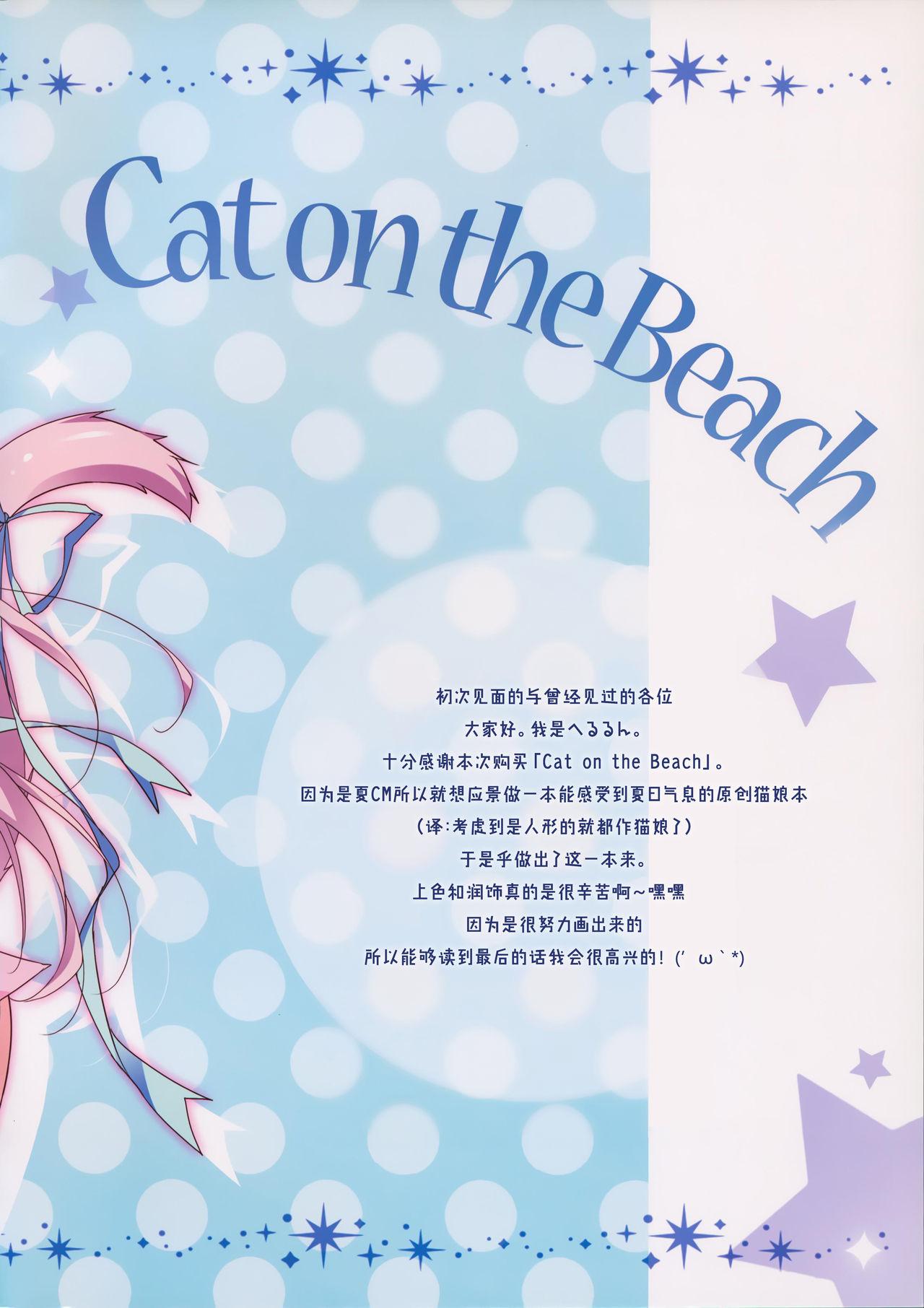 Cat on the Beach(C88) [LOOPTHELOOP! (へるるん)]  [中国翻訳](25页)