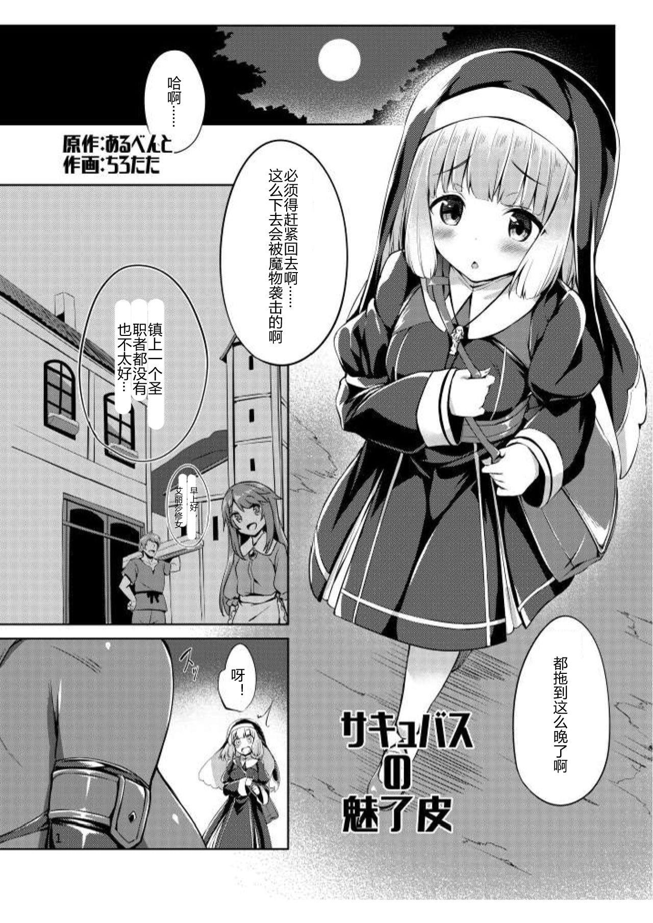 サキュバスの魅惑皮  (14页)