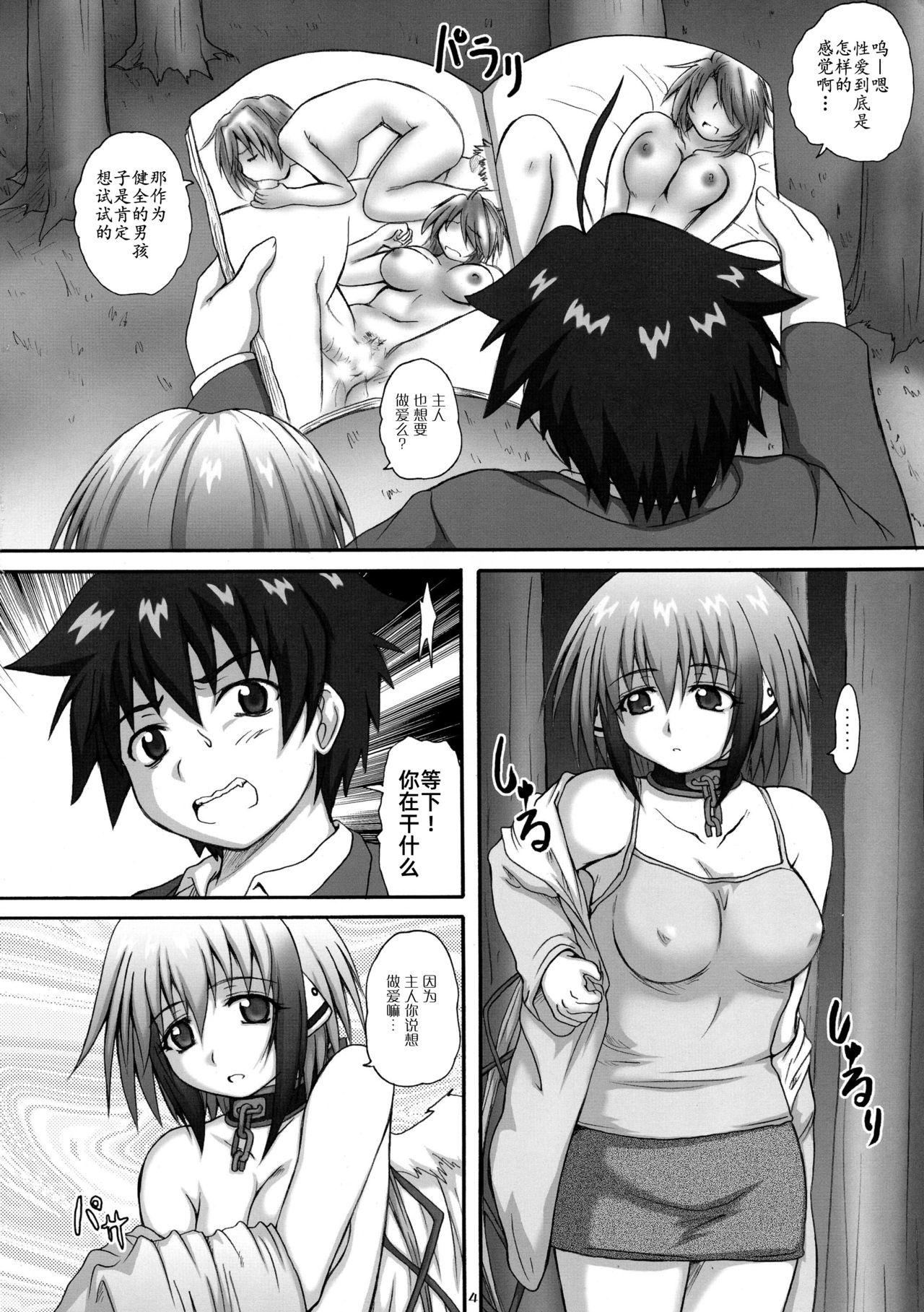 2ストローク TC(COMIC1☆4) [2ストローク (YTS鷹那)]  (そらのおとしもの) [中国翻訳](30页)