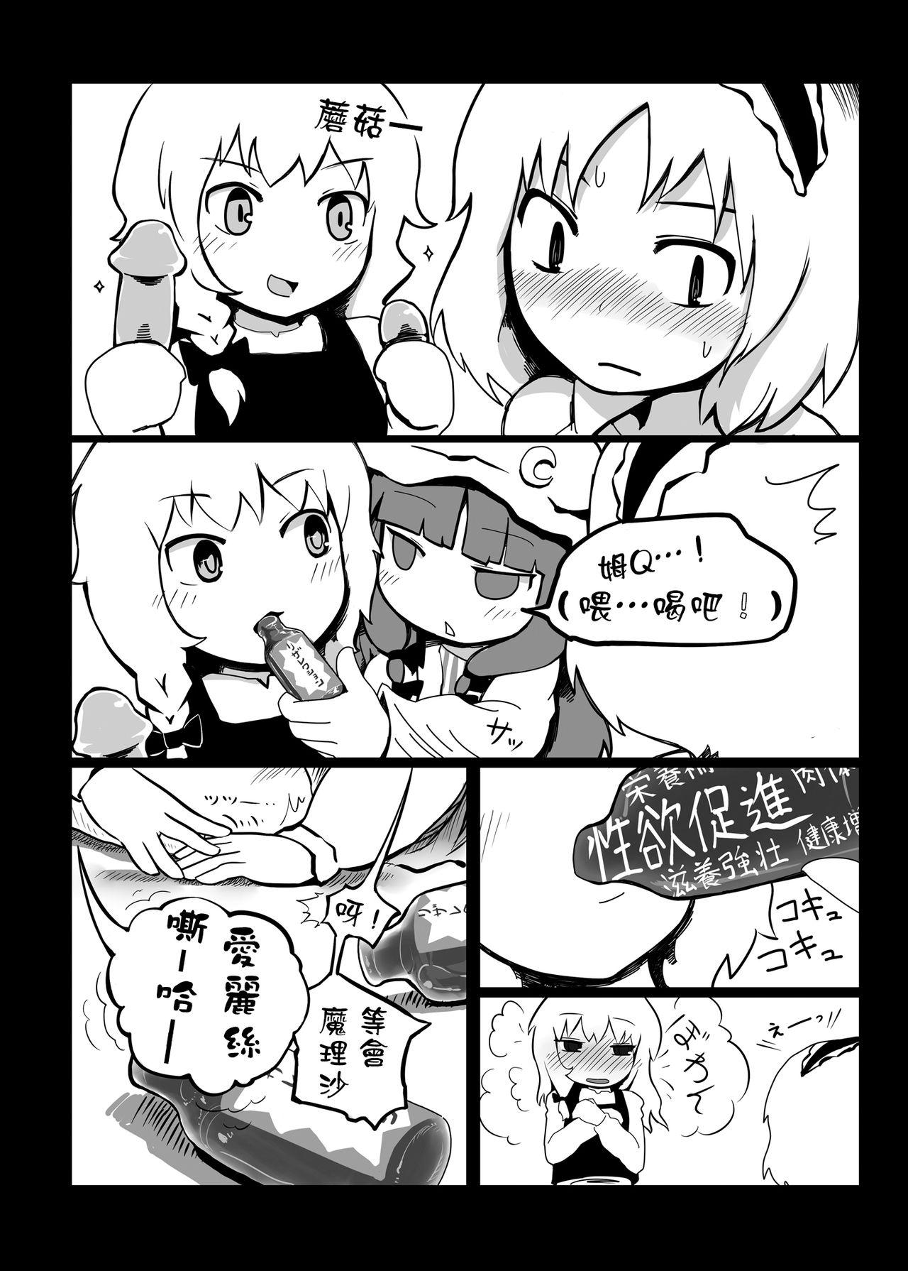 東方エロ集め。(例大祭10) [やし屋 (Yassy)]  (東方Project) [中国翻訳] [進行中](55页)