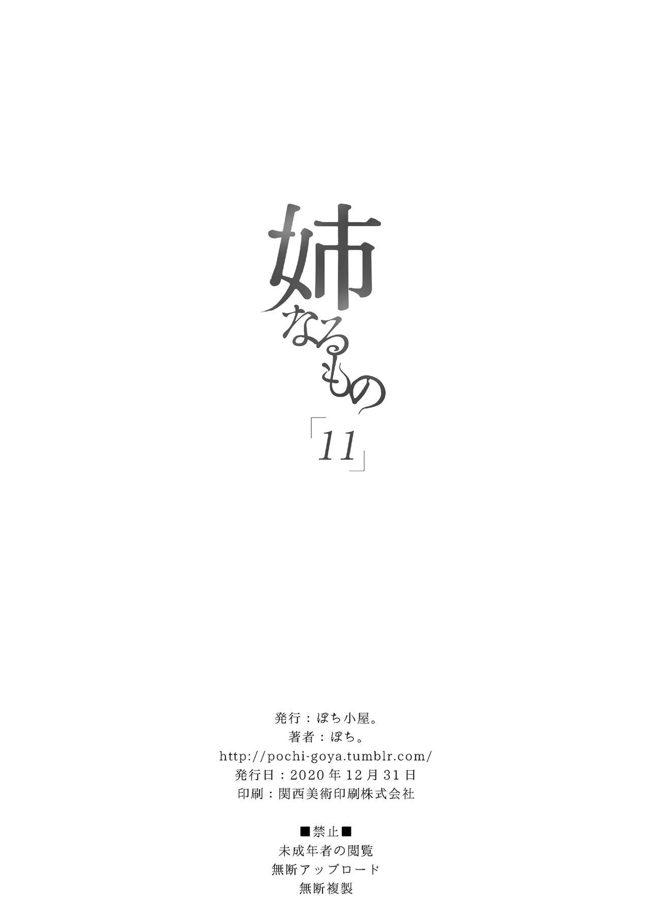 姉なるもの 11[ぽち小屋。 (ぽち。)]  [中国翻訳] [DL版](28页)