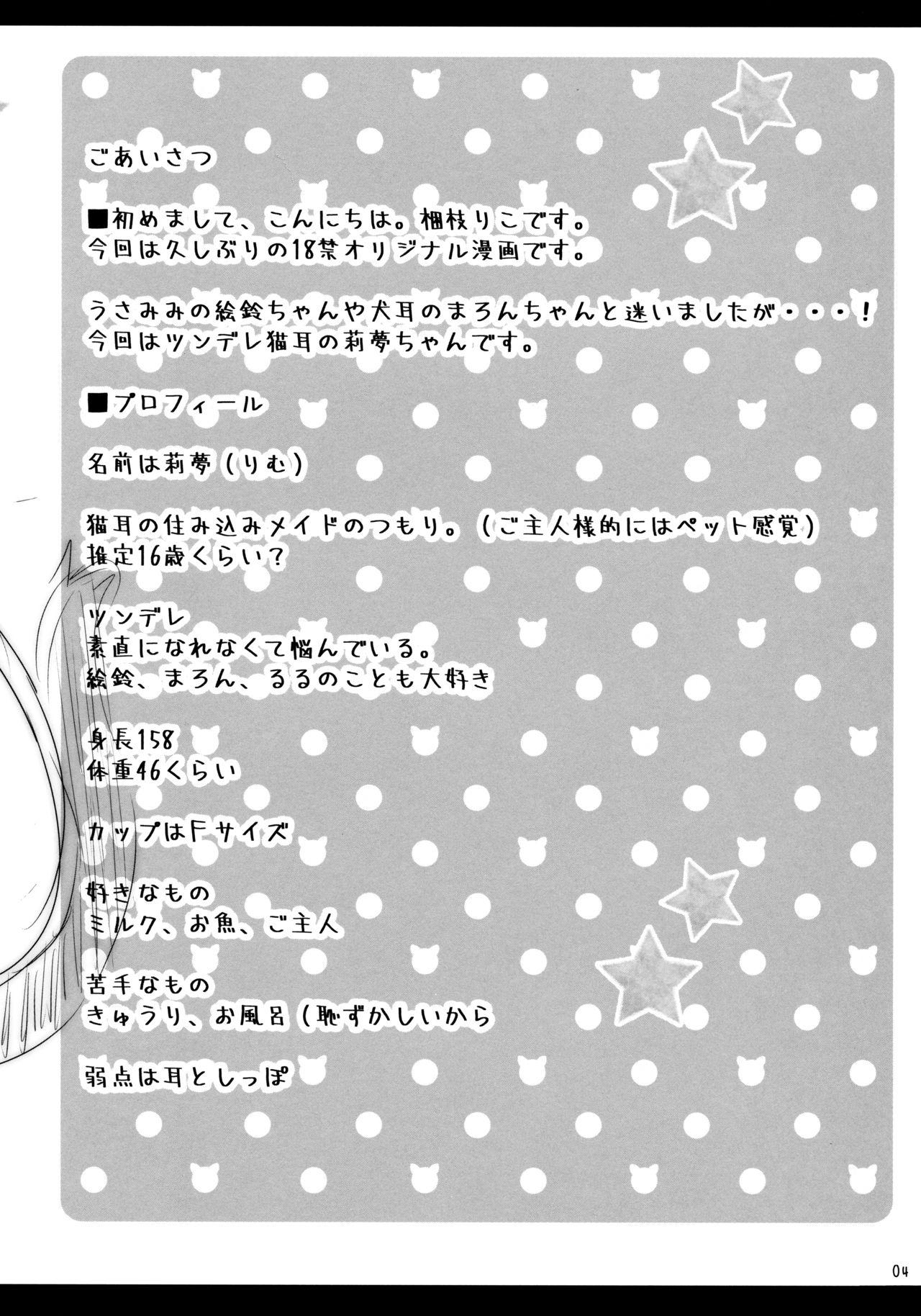 にゃんにゃんえっち(C95) [無人少女 (梱枝りこ)]  [中国翻訳](24页)