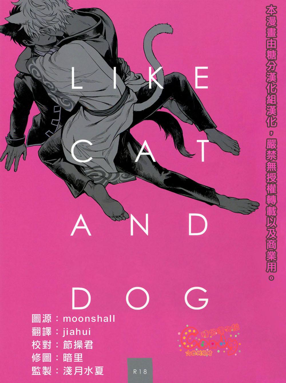 LIKE CAT AND DOG(HARUCC19) [3745HOUSE (ミカミタケル)] (銀魂) [中国翻訳](34页)