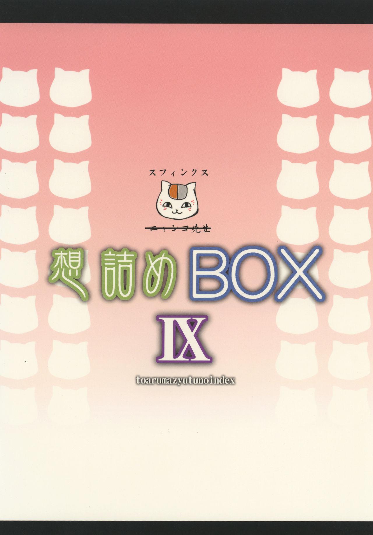 想詰めBOX IX[想詰め (串カツ孔明)]  (とある魔術の禁書目録) [中国翻訳] [DL版](29页)