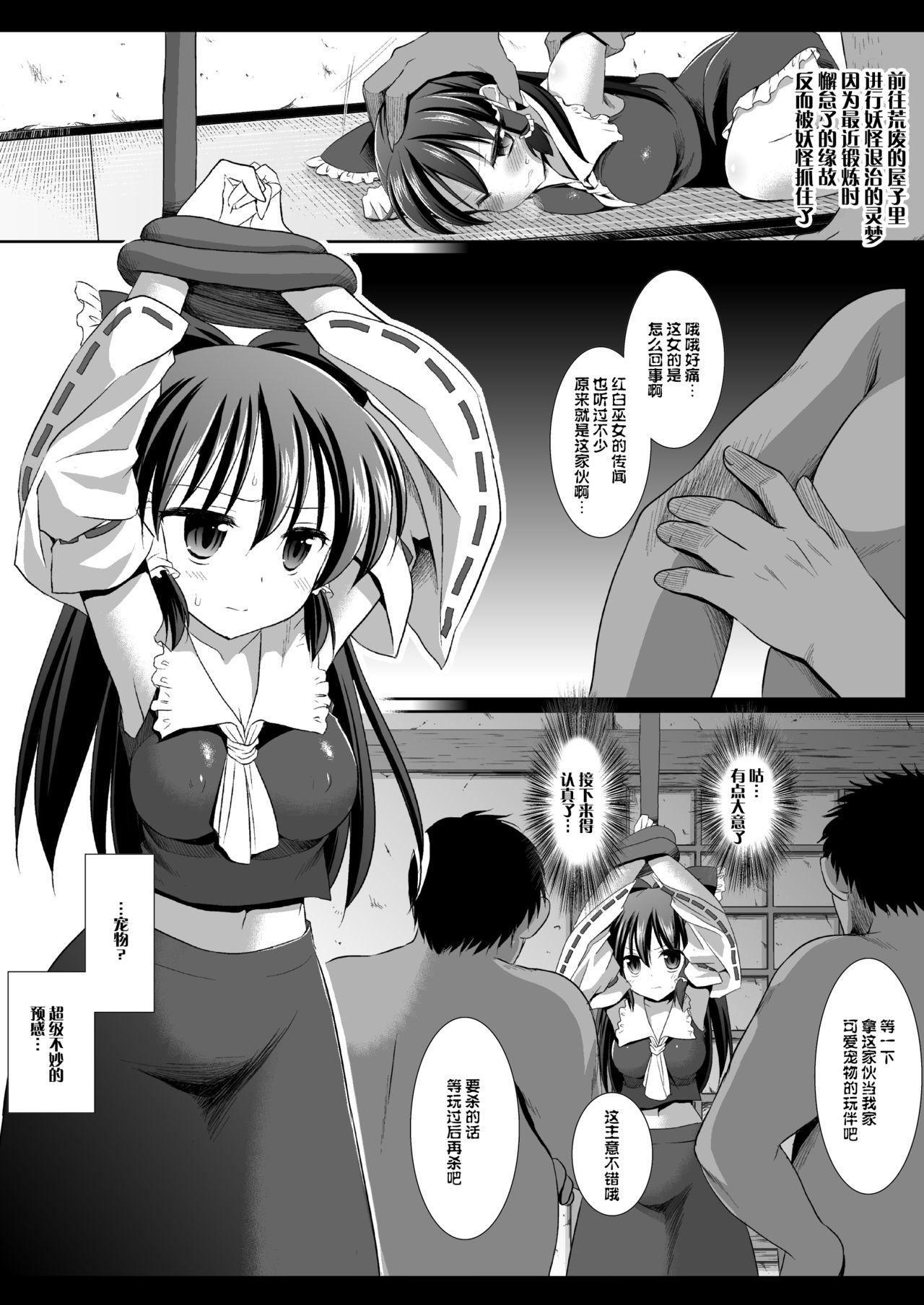 東方陵辱16(COMIC1☆6) [ナギヤマスギ (那岐山)]  (東方Project) [中国翻訳](19页)