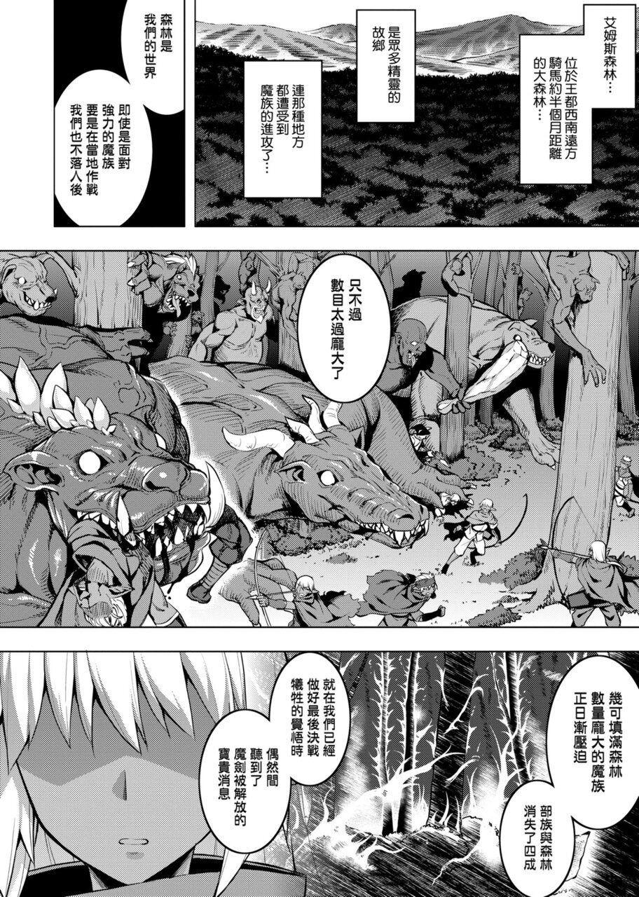 魔剣の姫士[無望菜志]  [中国語] [DL版](218页)