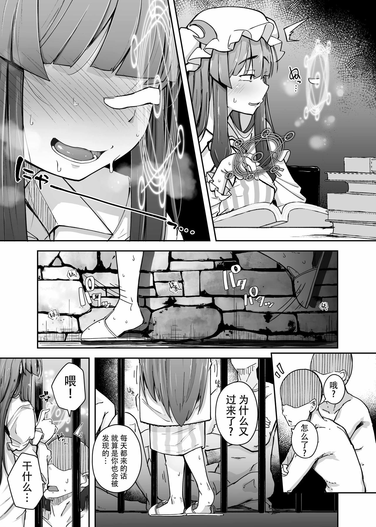 穴とむっつりどすけべだいとしょかん 3[自家発電処 (flanvia)]  (東方Project) [中国翻訳] [DL版](30页)