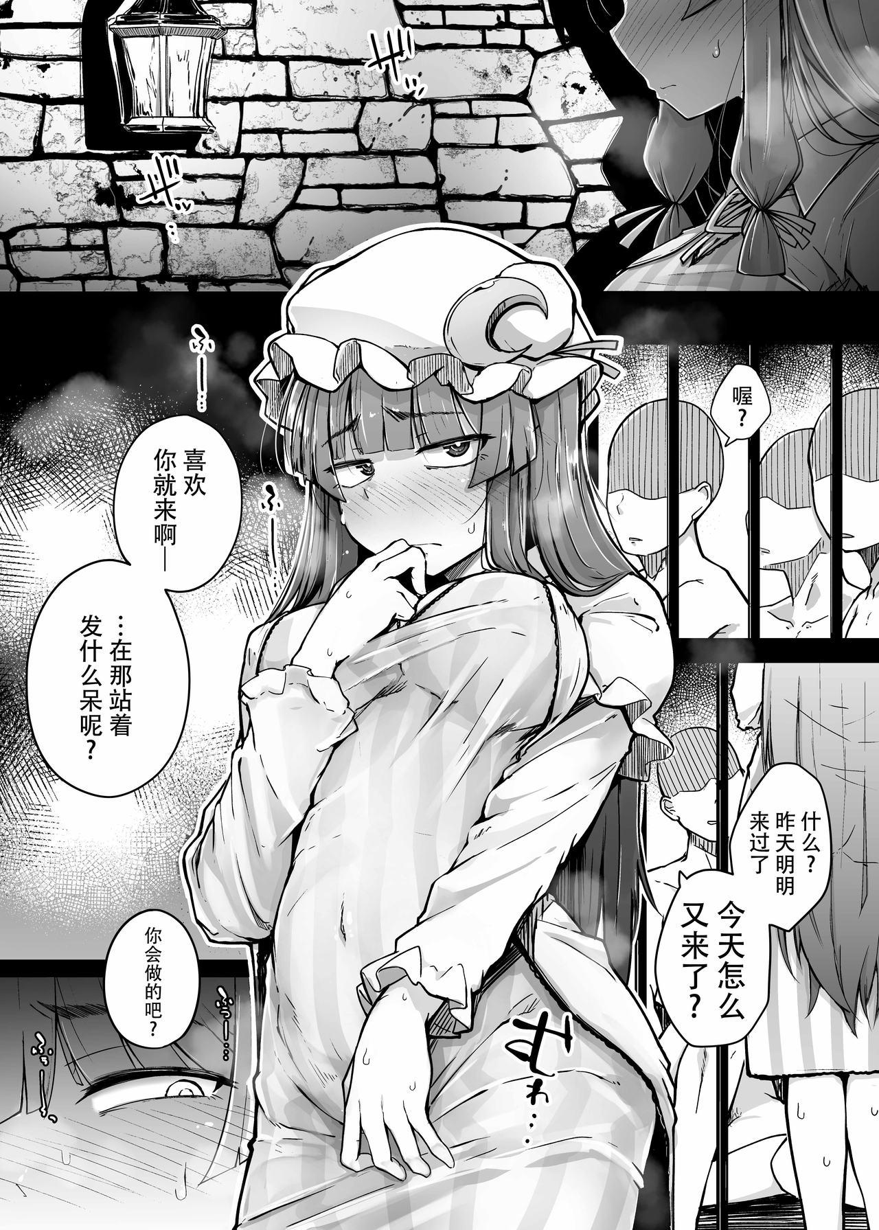 穴とむっつりどすけべだいとしょかん 3[自家発電処 (flanvia)]  (東方Project) [中国翻訳] [DL版](30页)