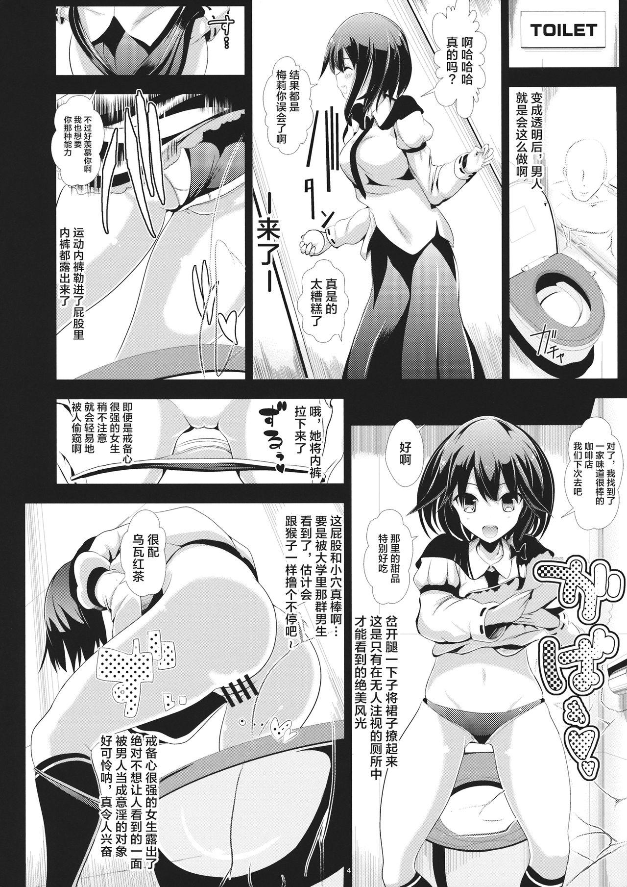 東方透明人間 2 侵入蓮子んち(名華祭8) [背徳漢 (背徳漢)]  (東方Project) [中国翻訳](20页)