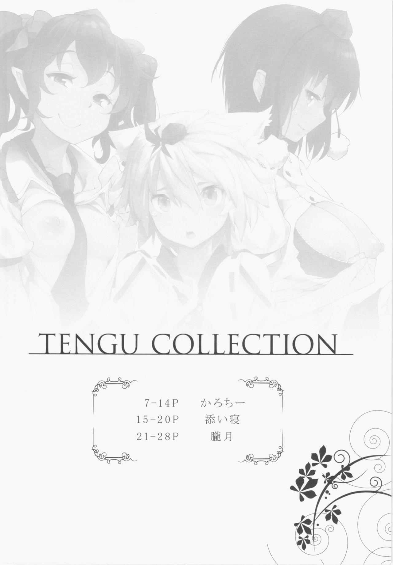 TENGU COLLECTION(例大祭12) [えくりぷす、餅屋、はんなま (朧月、かろちー、添い寝)]  (東方Project) [中国翻訳](32页)