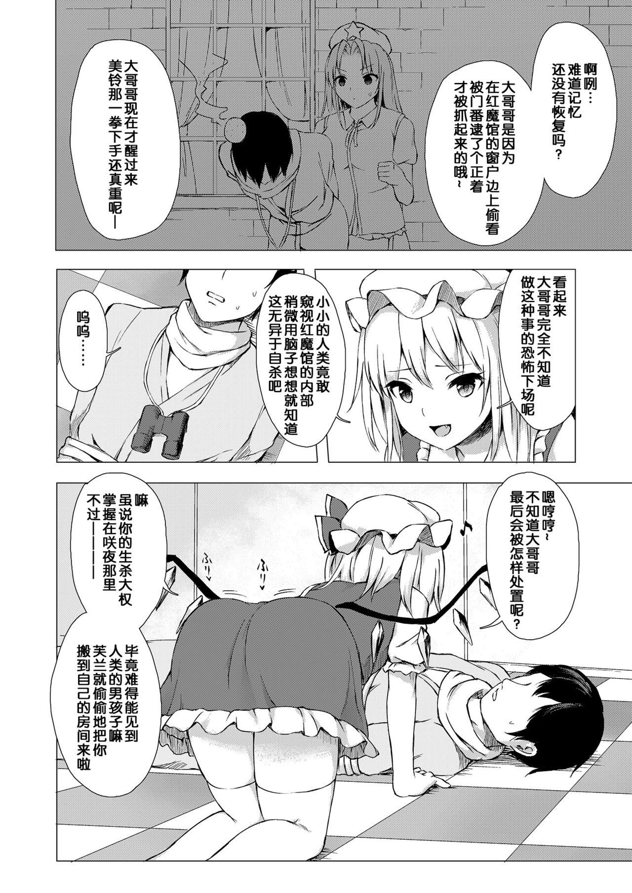 フランちゃんの思うがままに[てこめんち (てち)]  (東方Project) [DL版][中国翻訳](26页)