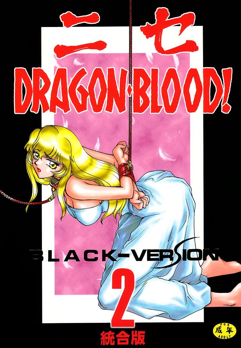 ニセDRAGON・BLOOD! 2[LTM(たいらはじめ)]  [中国翻訳](92页)