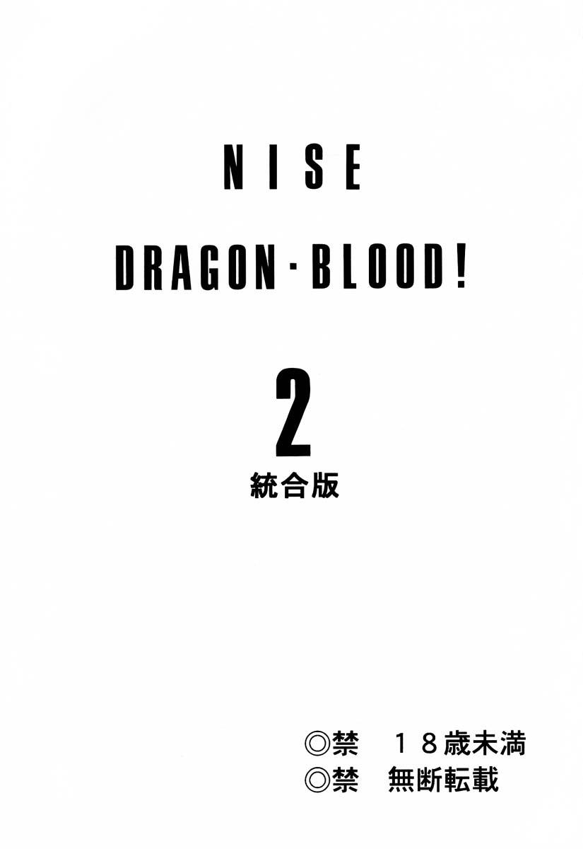 ニセDRAGON・BLOOD! 2[LTM(たいらはじめ)]  [中国翻訳](92页)