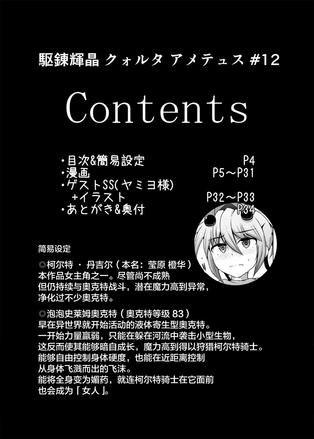 駆錬輝晶 クォルタ アメテュス #12[下り坂ガードレール (しらそ)]  [中国翻訳] [DL版](37页)