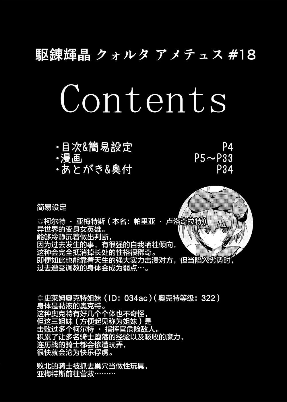 駆錬輝晶 クォルタ アメテュス #18[下り坂ガードレール (しらそ)]  [中国翻訳] [DL版](37页)