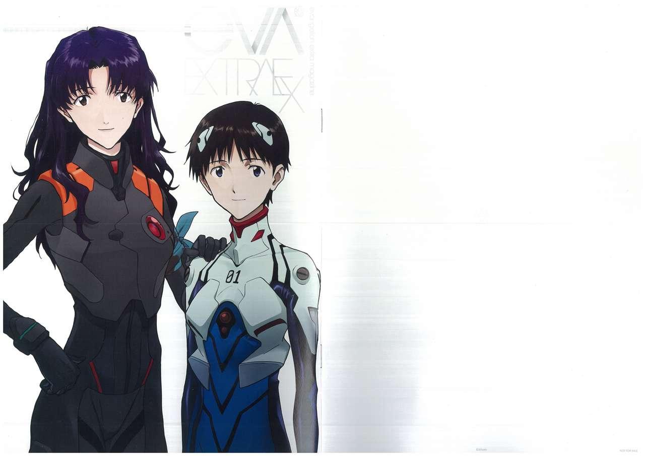 Evangelion 3.0and Illustrations(29页)