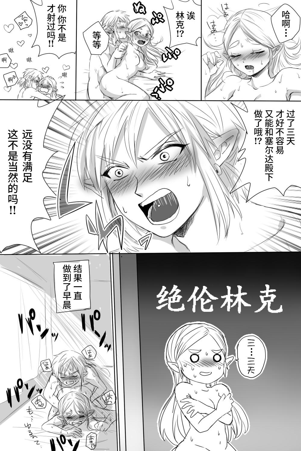 ブレワイのリンゼルがひたすらいちゃいちゃしてすけべなことする漫画[わさび]  (ゼルダの伝説 ブレス オブ ザ ワイルド) [中国翻訳](13页)