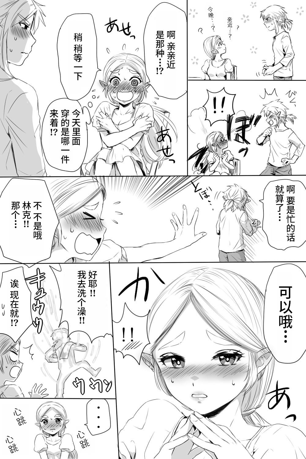 ブレワイのリンゼルがひたすらいちゃいちゃしてすけべなことする漫画[わさび]  (ゼルダの伝説 ブレス オブ ザ ワイルド) [中国翻訳](13页)