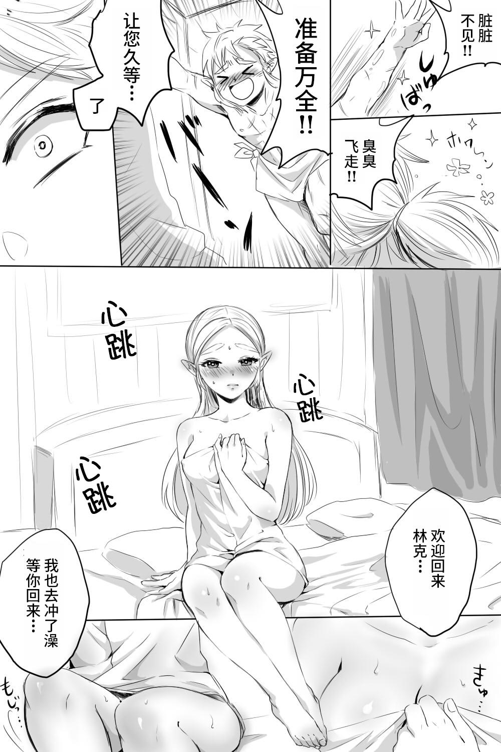 ブレワイのリンゼルがひたすらいちゃいちゃしてすけべなことする漫画[わさび]  (ゼルダの伝説 ブレス オブ ザ ワイルド) [中国翻訳](13页)