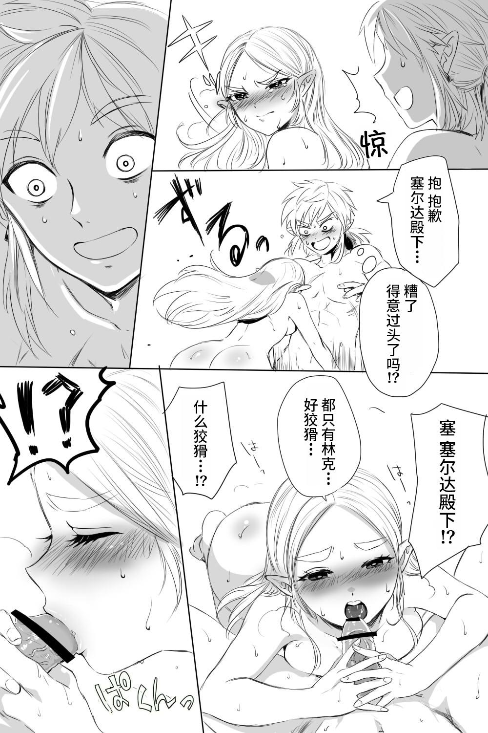 ブレワイのリンゼルがひたすらいちゃいちゃしてすけべなことする漫画[わさび]  (ゼルダの伝説 ブレス オブ ザ ワイルド) [中国翻訳](13页)