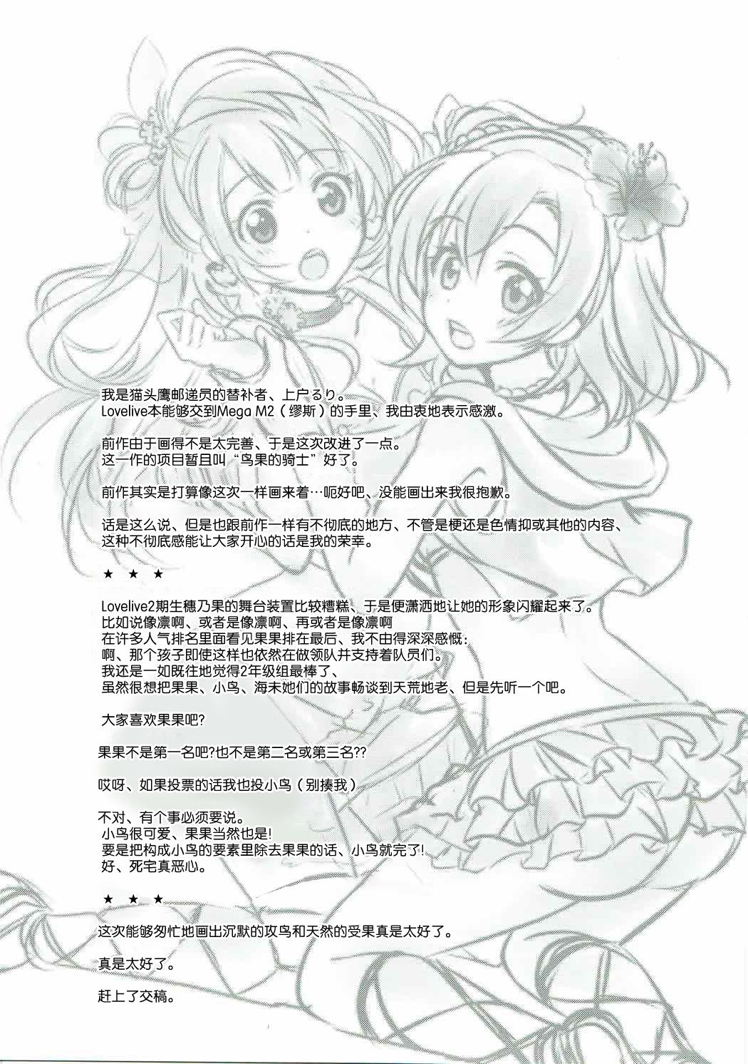 メガμ2X(C86) [梟の郵便屋さん (上戸ルリ)]  (ラブライブ!) [中国翻訳](31页)