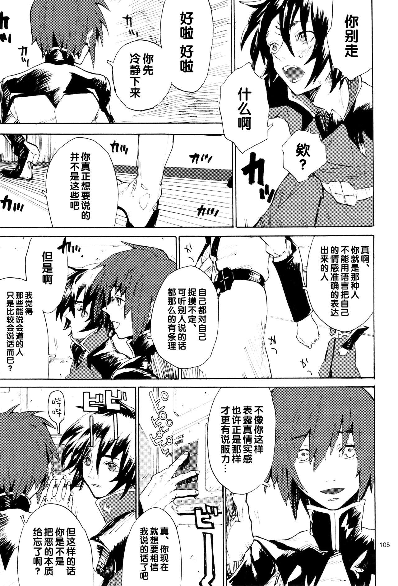 正しい人[NEO-de (夏坂)]  (機動戦士ガンダムSEED DESTINY) [中国翻訳](311页)