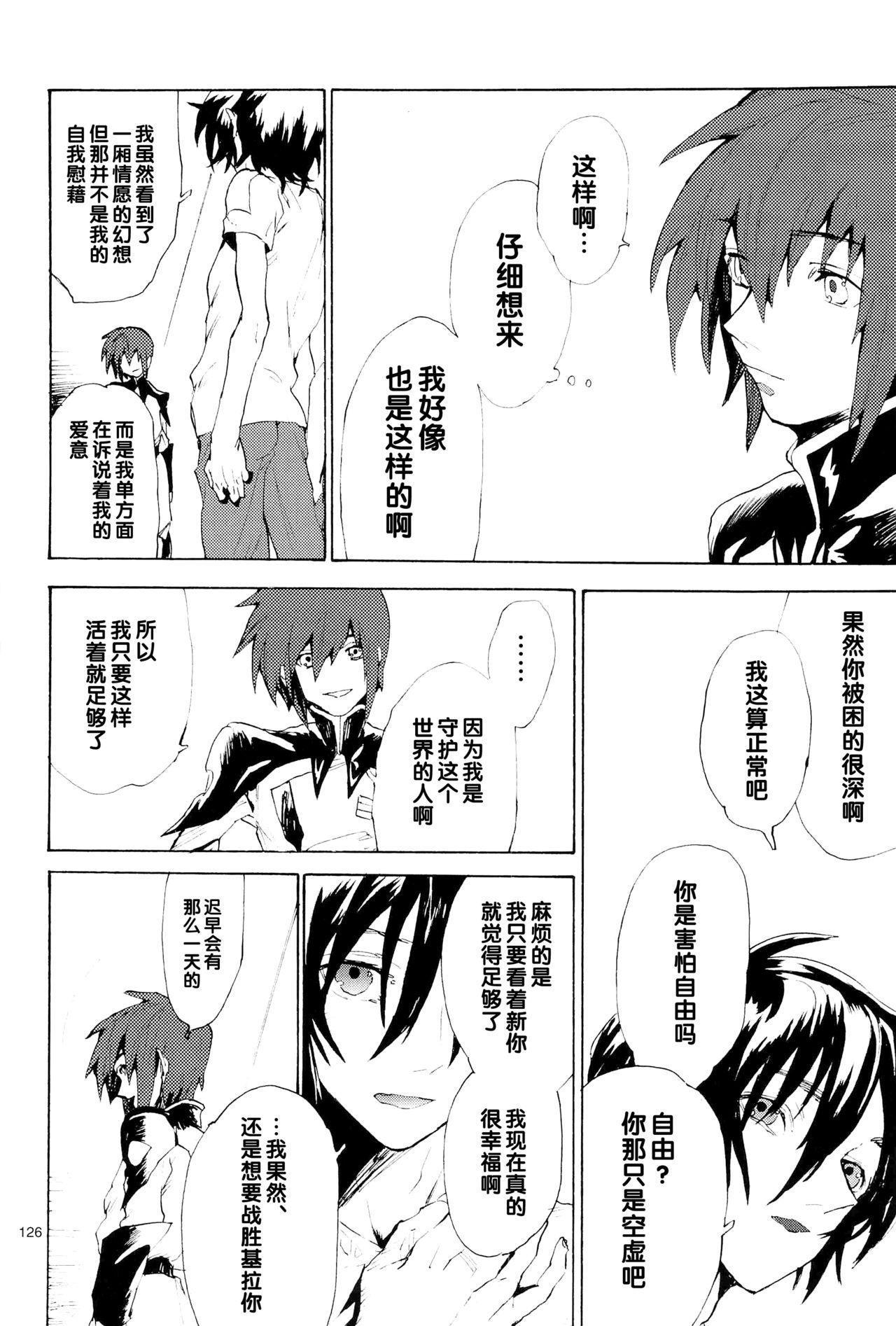 正しい人[NEO-de (夏坂)]  (機動戦士ガンダムSEED DESTINY) [中国翻訳](311页)